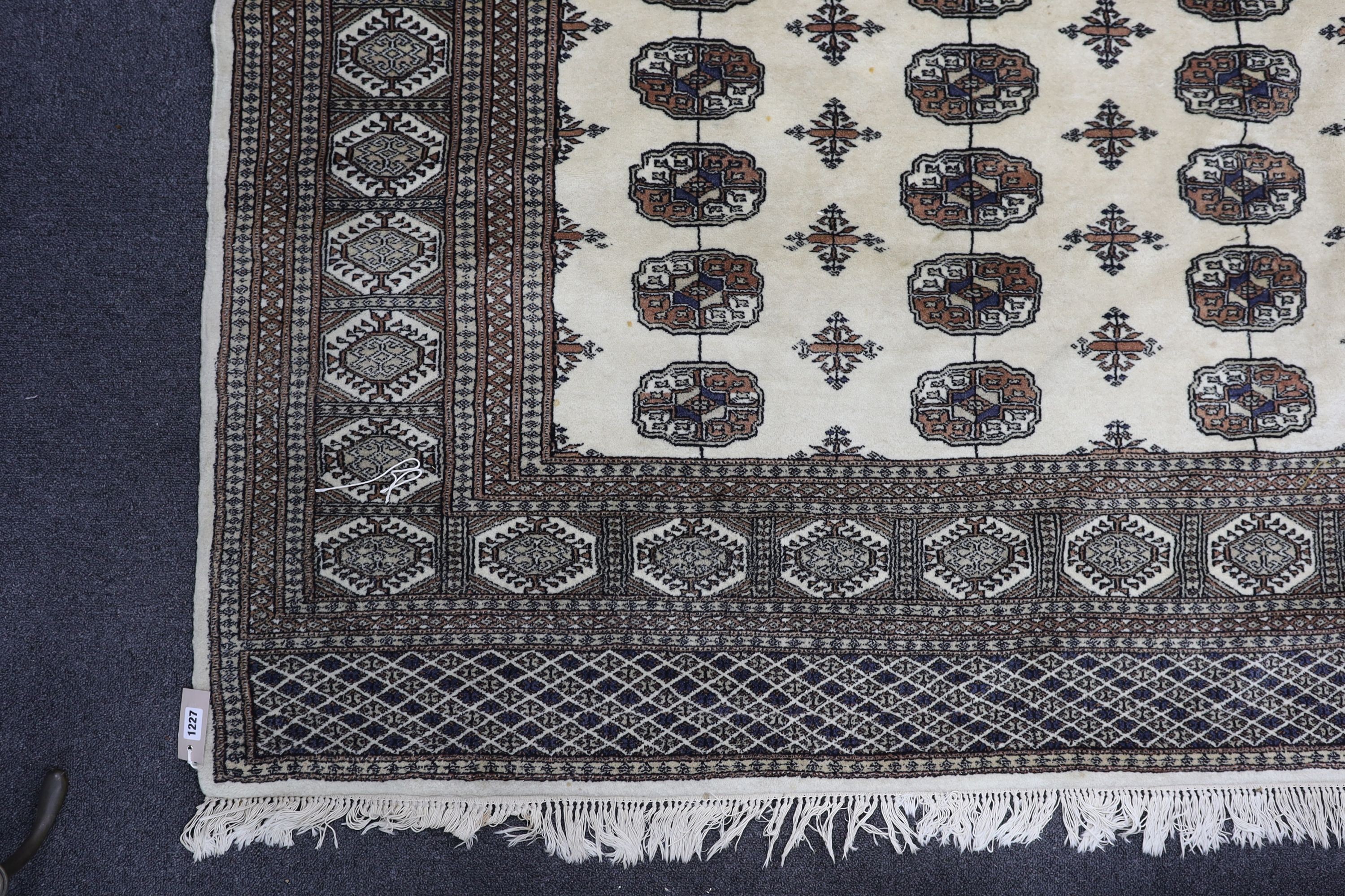 A Bokhara ivory ground rug, 246 x 156cm